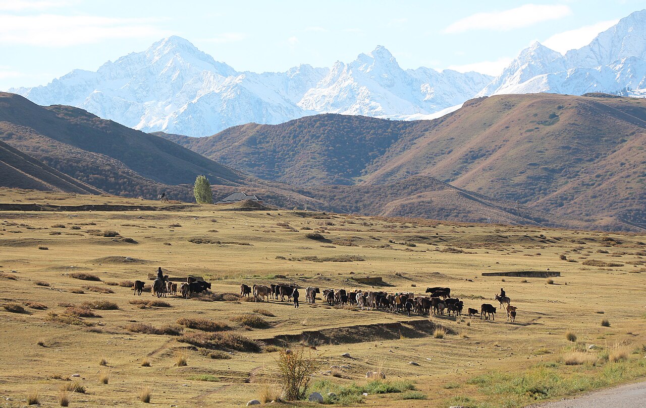 Snow-capped Tian Shan peaks rising above a Kyrgyz summer valley with herders and livestock